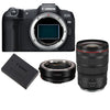 Canon EOS R8 Kamera + EF-EOS R-Bajonettadapter + Canon LP-E17 Akku + RF 24–70 mm f/2,8L IS USM