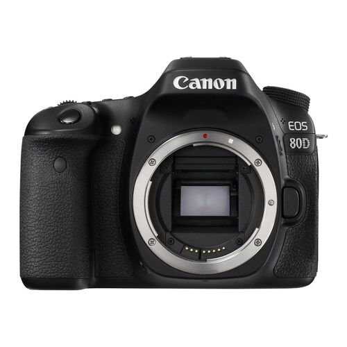 Canon EOS 80D + Objektiv EF-S 18–200 mm f/3,5–5,6 EF-S IS