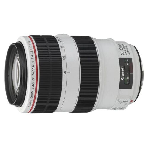 Canon EF-Objektiv – Zoomfunktion – 70 mm – 300 mm – f/4,0–5,6 L IS USM – Canon EF
