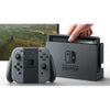 Nintendo Switch Grau V2