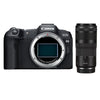 Canon EOS R8 Kamera + RF 100–400 mm f/5,6–8 IS USM-Objektiv