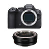 Canon R6 Mark II-Gehäuse + EF-EOS R-Bajonettadapter