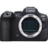 Canon R6 Mark II-Gehäuse + EF-EOS R-Bajonettadapter