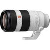 Sony A7R V Gehäuse + Sony FE 100–400 mm f4,5–5,6 GM OSS