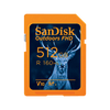 SanDisk Outdoors FHD SDXC UHS-I-Karte – 128 GB Einzelpackung