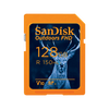 SanDisk Outdoors FHD SDXC UHS-I-Karte – 512 GB Einzelpackung