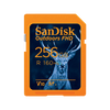 SanDisk Outdoors FHD SDXC UHS-I-Karte – 512 GB Einzelpackung