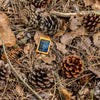 SanDisk Outdoors 4K SDXC UHS-I-Karte – 512 GB Einzelpackung