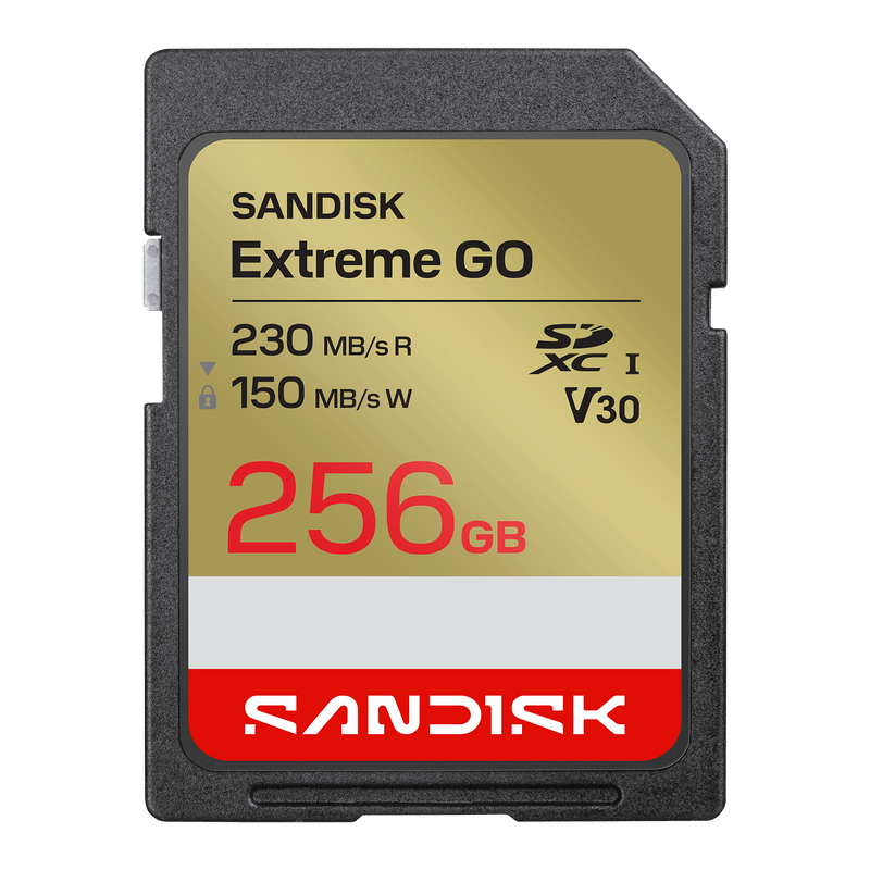 SANDISK Extreme GO SD UHS-I-Karte – 256 GB
