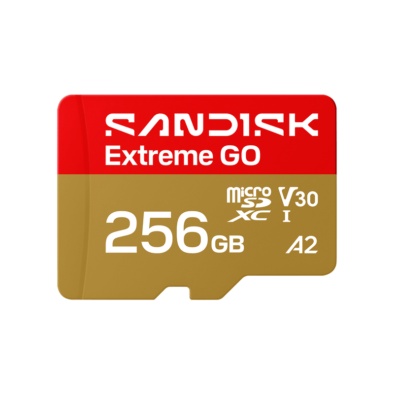 SANDISK Extreme GO microSDXC™ UHS-I-Karte – 256 GB