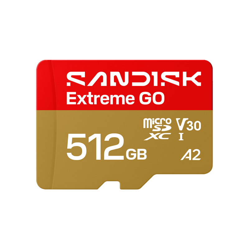 SANDISK Extreme GO microSDXC™ UHS-I-Karte – 512 GB