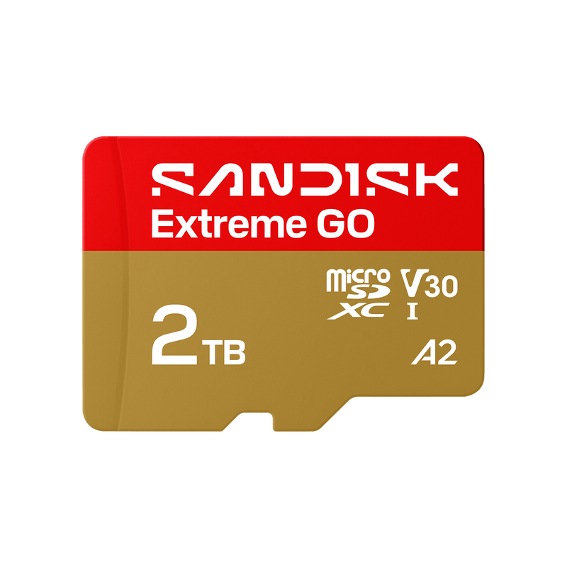SANDISK Extreme GO microSDXC™ UHS-I-Karte – 2 TB