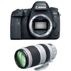 Canon EOS 6D Mark II + EF 100–400 mm f/4,5–5,6L IS II USM