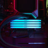 Kingston Technology FURY Beast RGB-Speichermodul 1 x 16 GB 1600 MHz