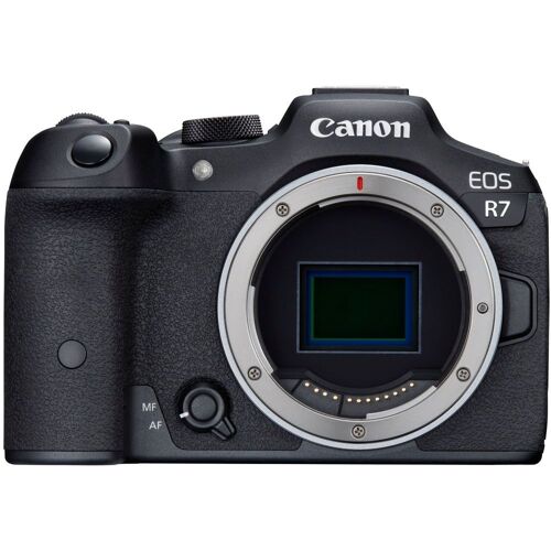 Canon EOS R7 – nur das Gehäuse