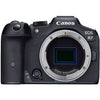Canon EOS R7 + Canon RF 100–400 mm f/5,6–8 IS USM