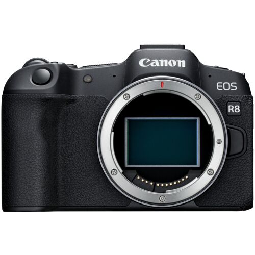 Canon R8 (nur Gehäuse)