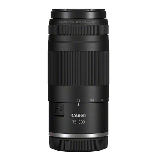 Canon RF 75–300 mm F/4–5,6 Objektiv