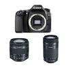 CANON EOS 80D 24,2 Megapixel + EF-S 18–55 mm F4–5,6 IS STM + EF-S 55–250 mm F4–5,6 IS STM