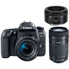 Canon EOS 77D + EF-S 18–55 mm IS STM + EF-S 55–250 mm IS STM + 50 mm STM