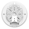 Ruijie RG-RAP62 Dual-Band-Access-Point, 1774 Mbit/s, PoE+, MIMO, weiß