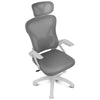 Bürostuhl DRAIR35, ergonomisch, Netzbezug, grau-weiß, klappbare Armlehnen, 120 kg, höhenverstellbar
