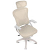 Bürostuhl Drift DRAIR35, Beige, Netzrückenlehne, 120 kg, höhenverstellbare Armlehnen