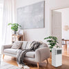 Mobile Klimaanlage Infiniton PACPK17W 7.000 BTU Klasse A R290 Luftentfeuchter Timer