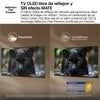 LG OLED evo OLED55G64LW 55-Zoll-Fernseher, 4K Ultra HD, 120 Hz, Smart-TV, WebOS, HDR10, Dolby Vision