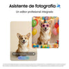Samsung Galaxy S26 Plus 5G 12 GB 512 GB 6,7