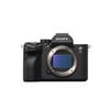 Sony Alpha a7S III (ohne Objektiv) + 3 Sony NP-FZ100
